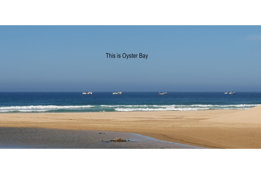 0 Bedroom Property for Sale in Oyster Bay Eastern Cape